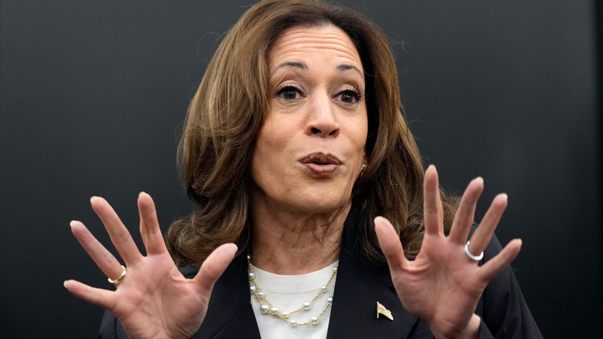 Die demokratische Präsidentschaftskandidatin und Vizepräsidentin Kamala Harris bei einem Wahlkampfauftritt am Mittwoch.