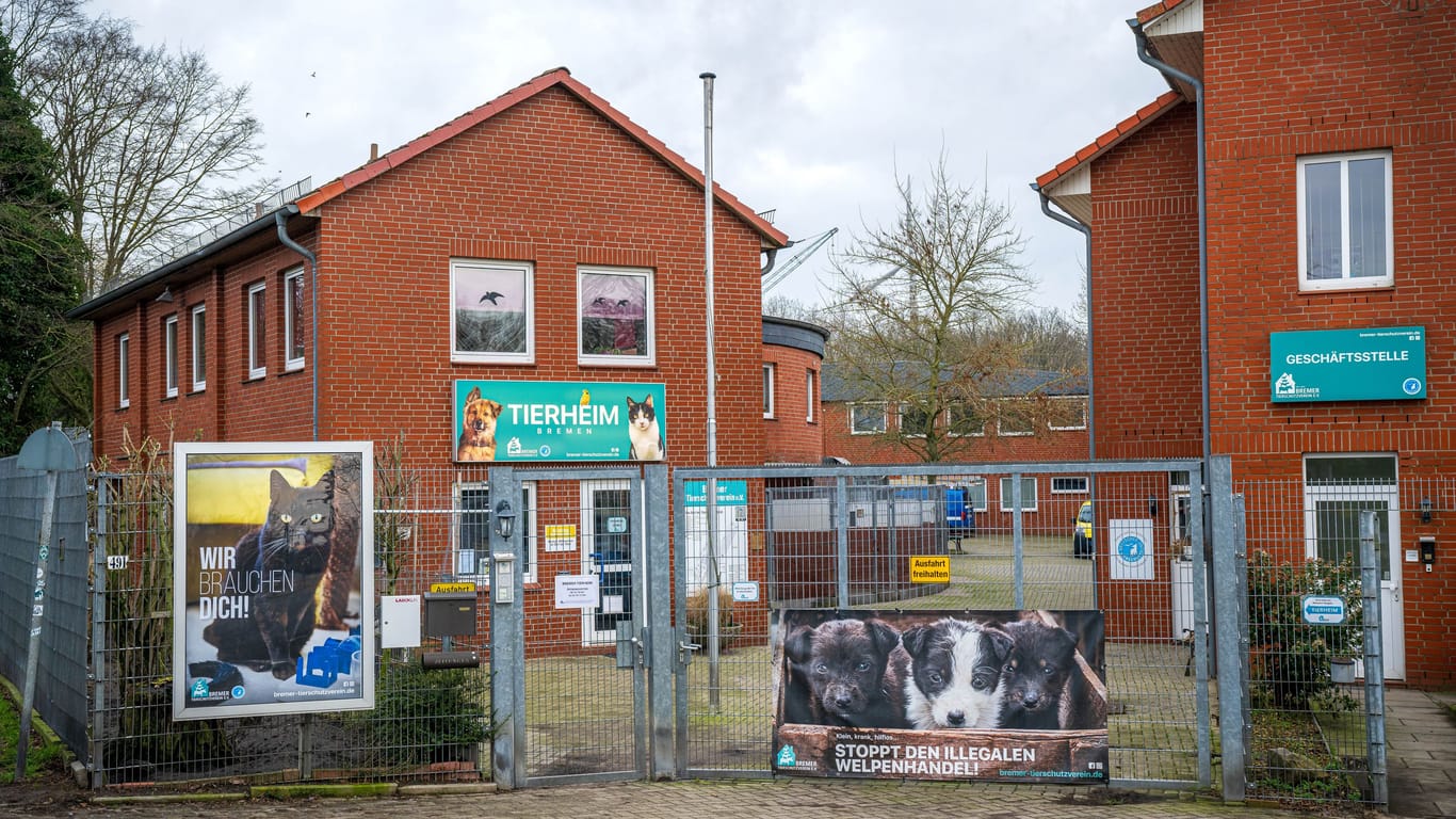 Der Eingang zum Bremer Tierheim: Die Einrichtung ist ab sofort geschlossen.