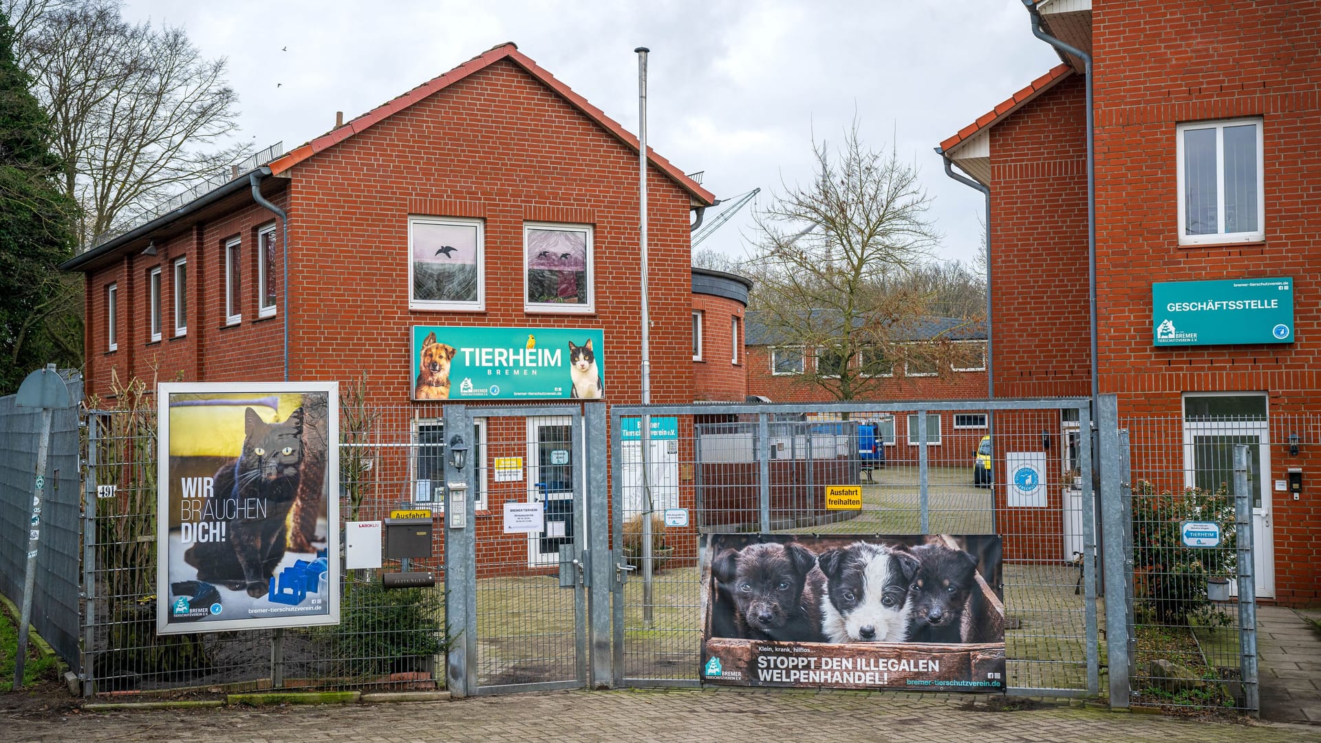 Der Eingang zum Bremer Tierheim: Die Einrichtung ist ab sofort geschlossen.