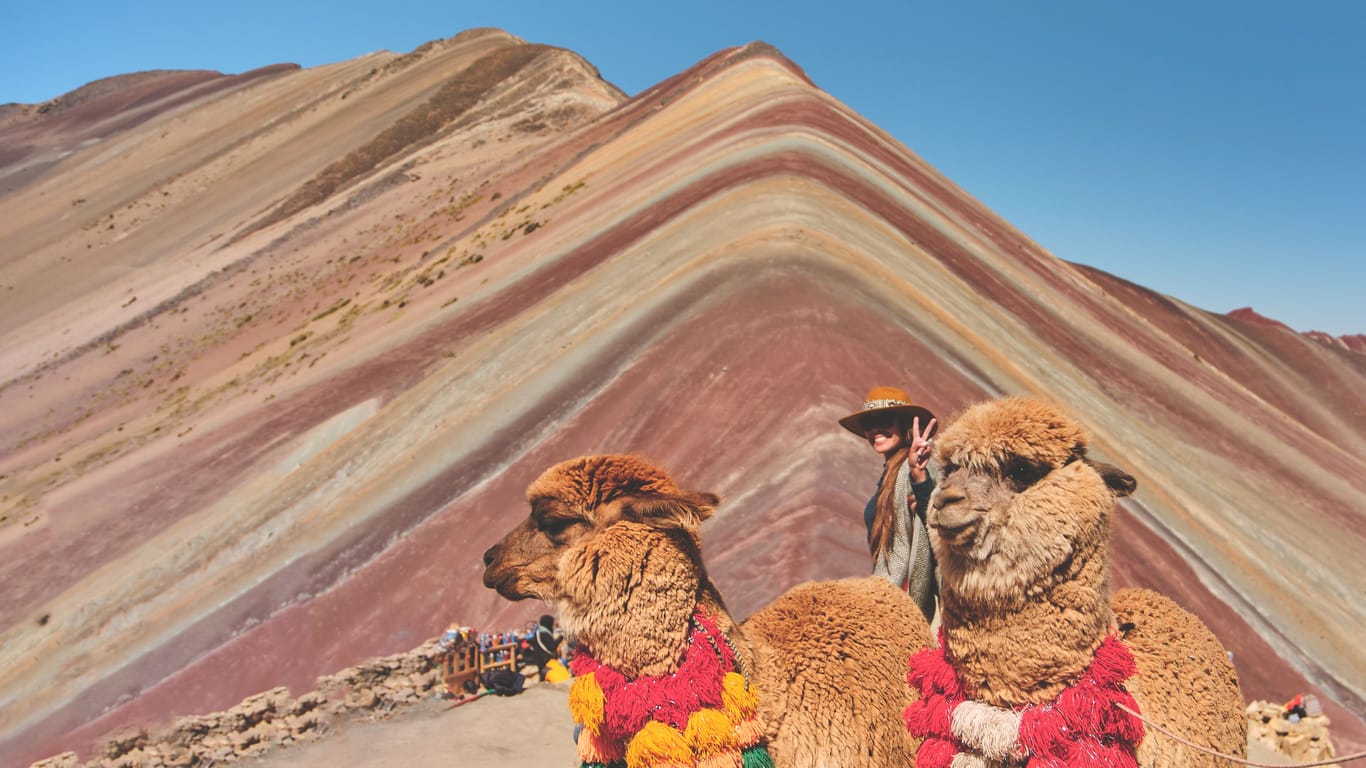 Woman standing and alpaca in the rainbow mountain in Peru with all the colors of the mountain in the background.