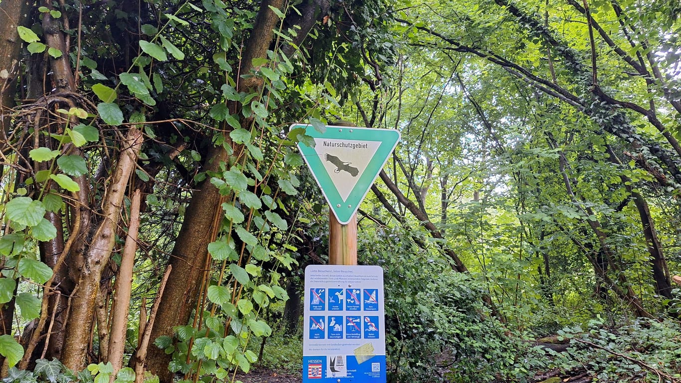 Inmitten einer gepflegten, weißen Häuserreihe im Stadtteil Bergen-Enkheim fand ich das „Portal“ zur unberührten Natur: das kleinste Naturschutzgebiet Frankfurts.