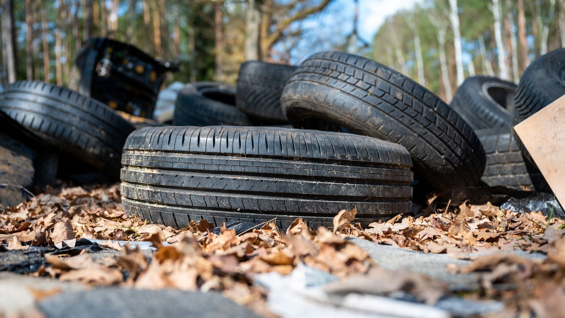 Illegale Müllentsorgung im Wald