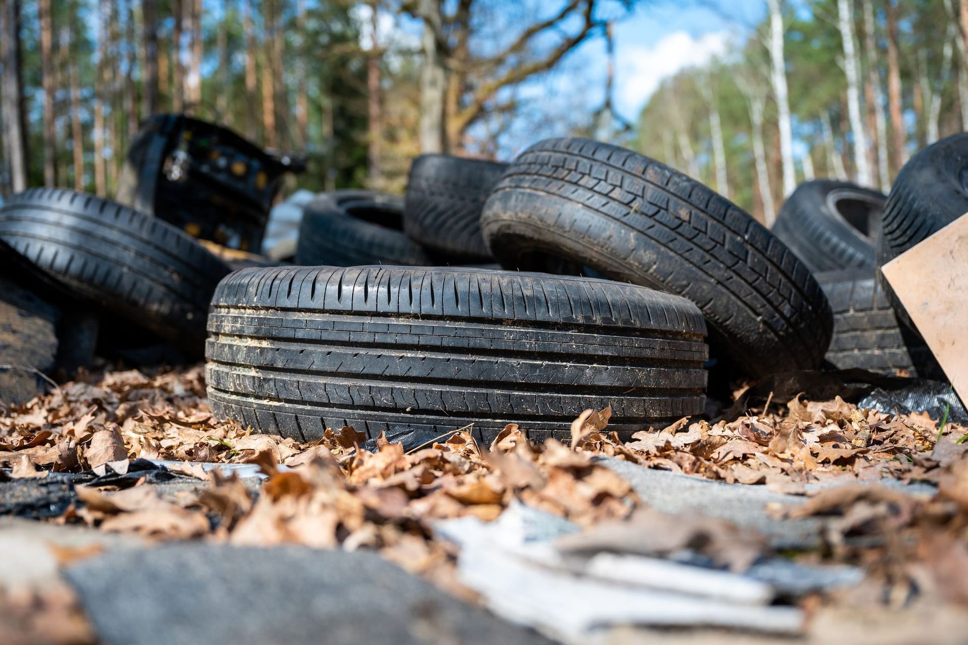 Illegale Müllentsorgung im Wald