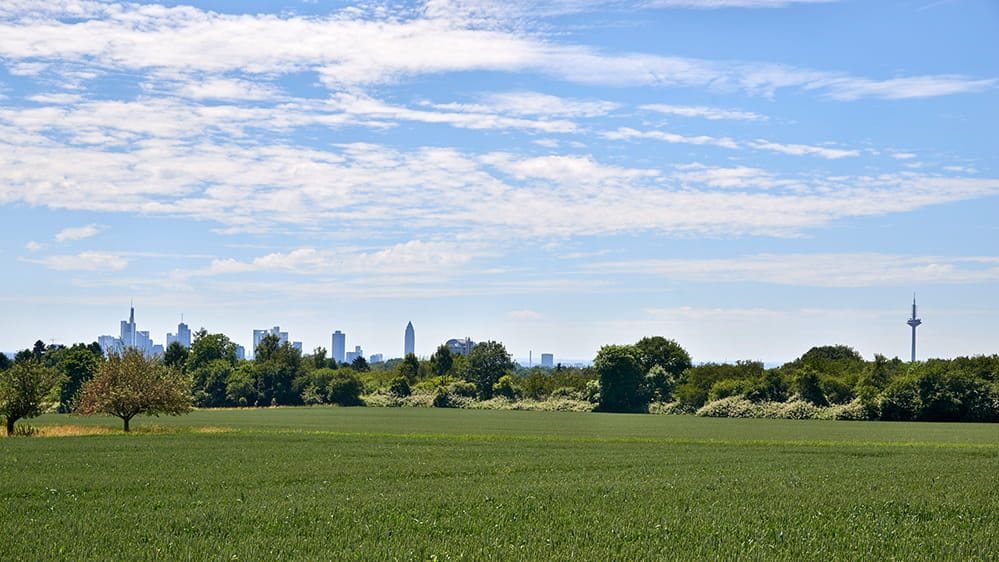 Naturschutzgebiet in Frankfurt am Main: Blick auf die Skyline vom Berger Rücken