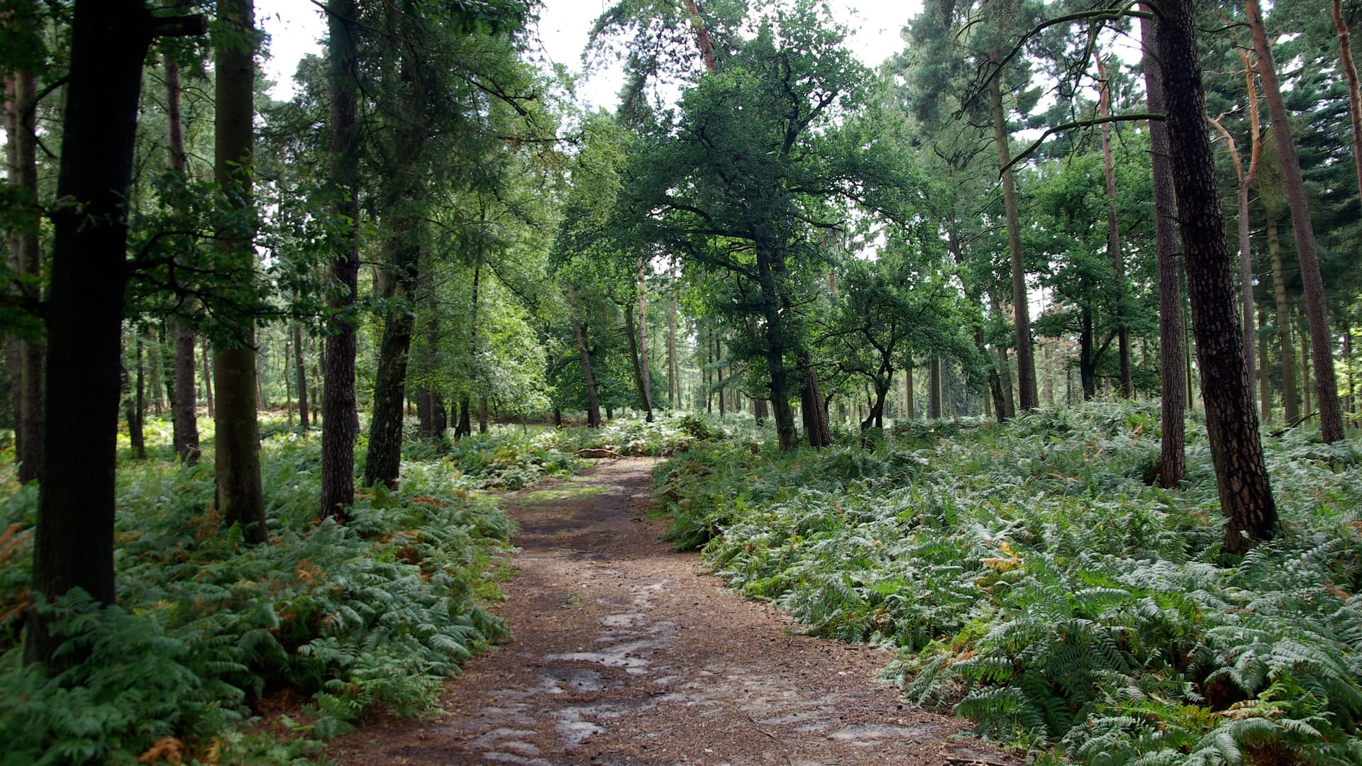 Mehrere Wanderwege machen den Naturwildpark auch für Spaziergänger und Naturliebhaber interessant.