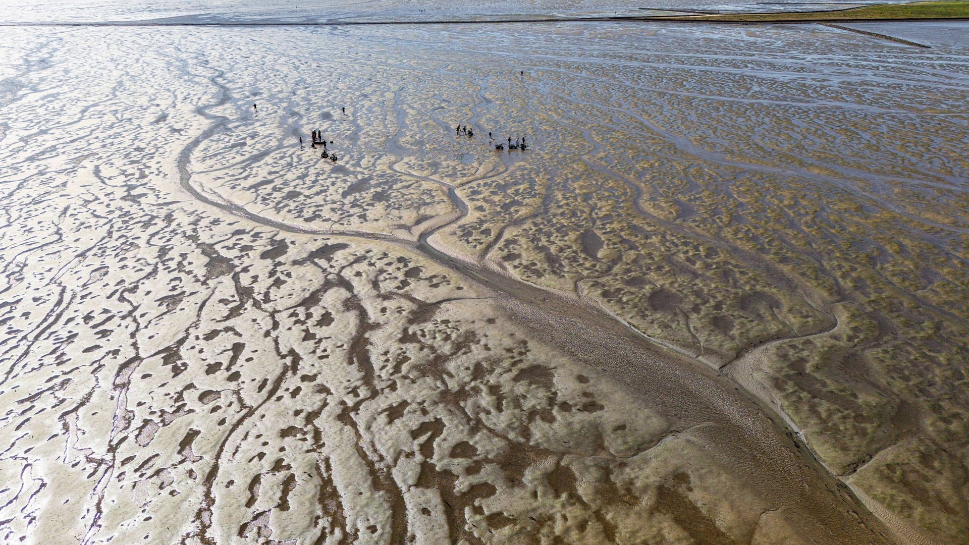 Wattenmeer in Schleswig-Holstein