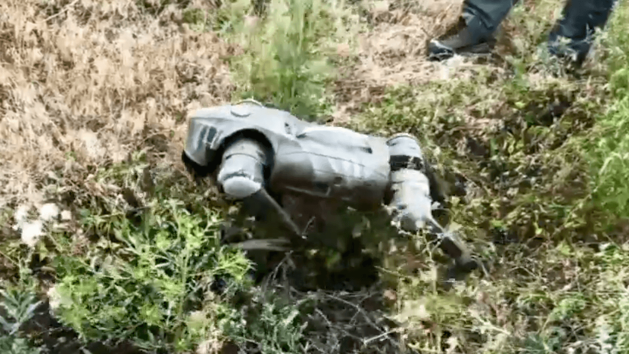 Ein Roboterhund soll bereits in der Ukraine im Einsatz sein.