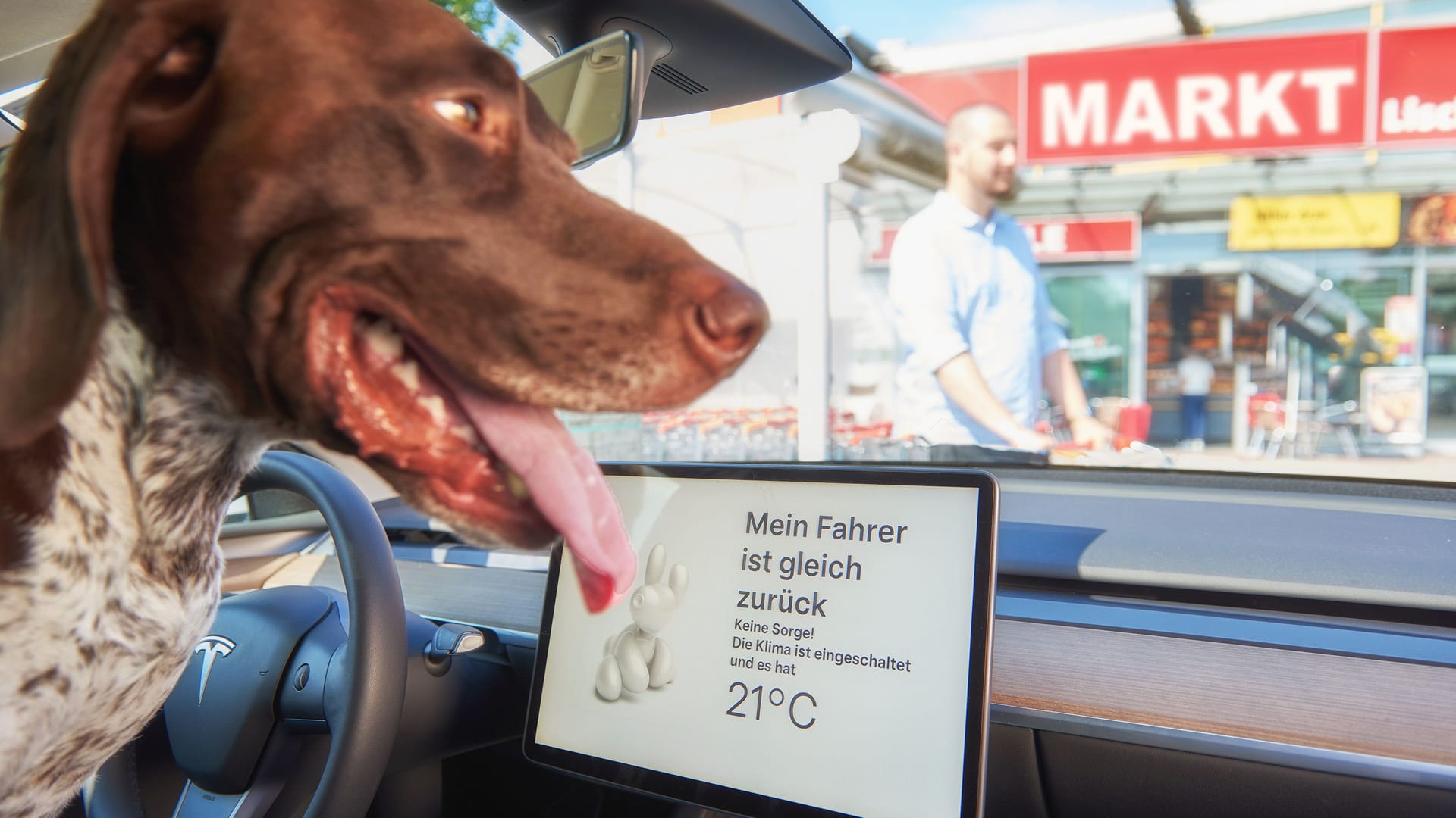 Verspricht gutes Klima auch bei Sommerhitze: Einige E-Autos bieten einen speziellen Hundemodus.