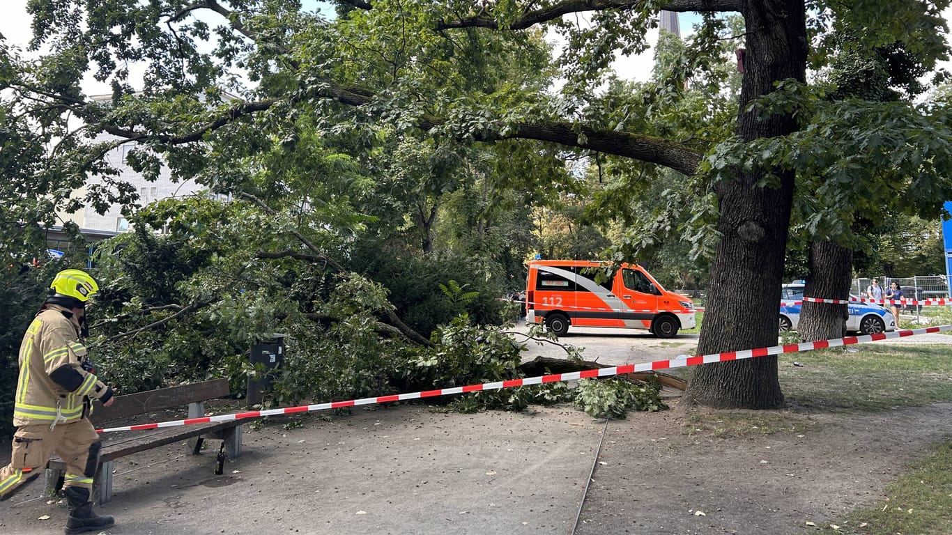 7aIMG: 0490354 Rettungshubschrauber im Einsatz nach Astabbruch in BerlinBerlin,