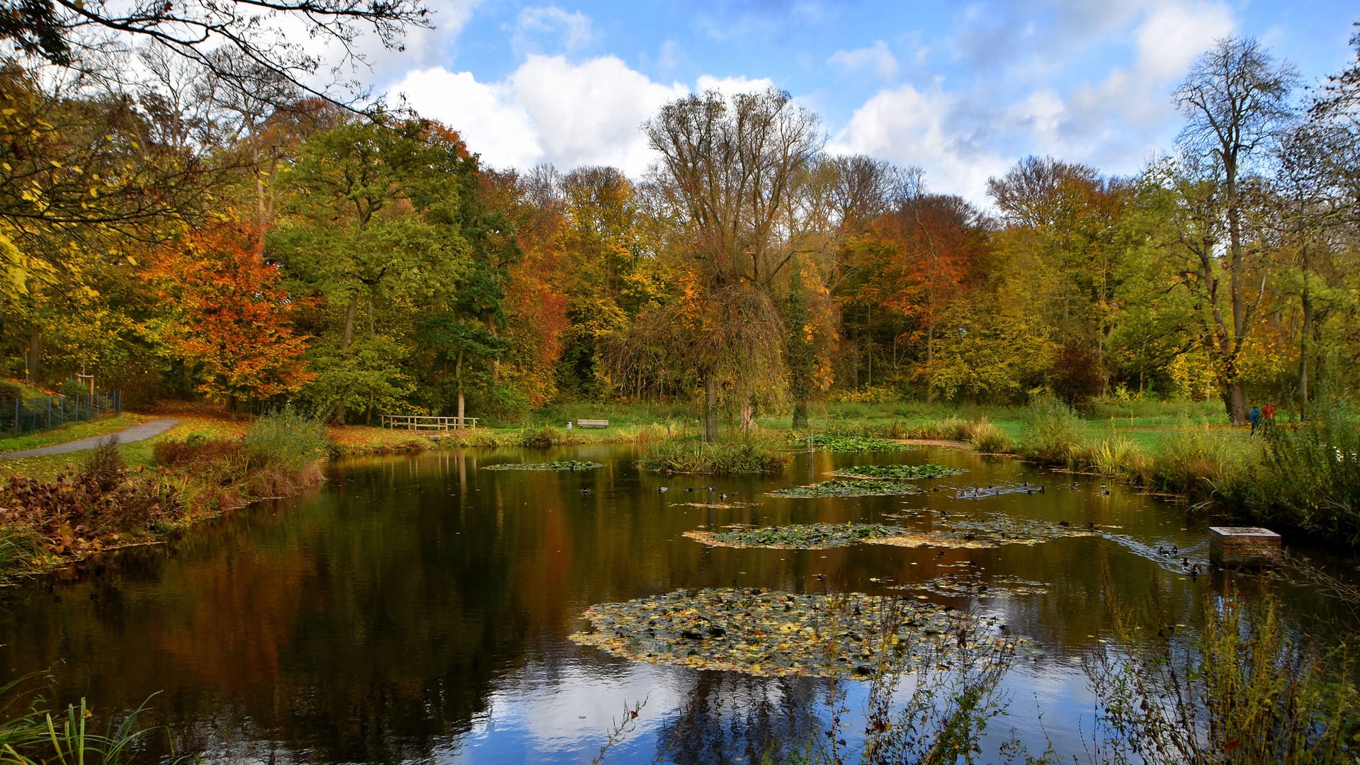 Der Hinübersche Garden in Hannover-Marienwerder bietet viel Schatten.