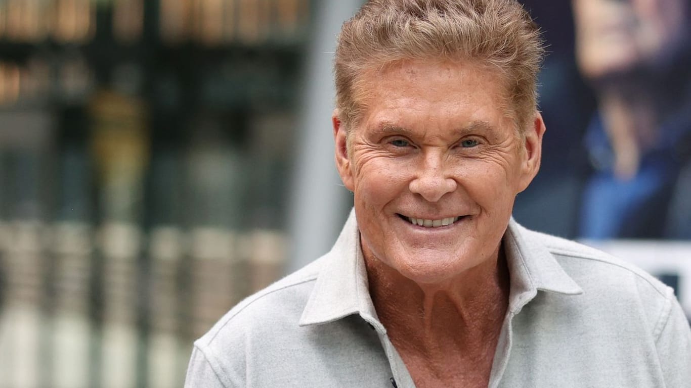 David Hasselhoff: Der US-Amerikaner darf ein neues Familienmitglied auf der Welt begrüßen.