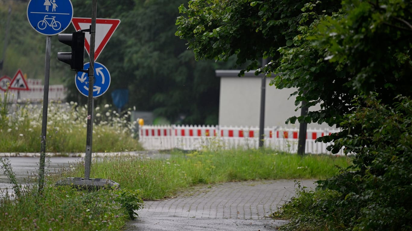 Verwaltungsgericht verhandelt Streit um Äste und Sträucher