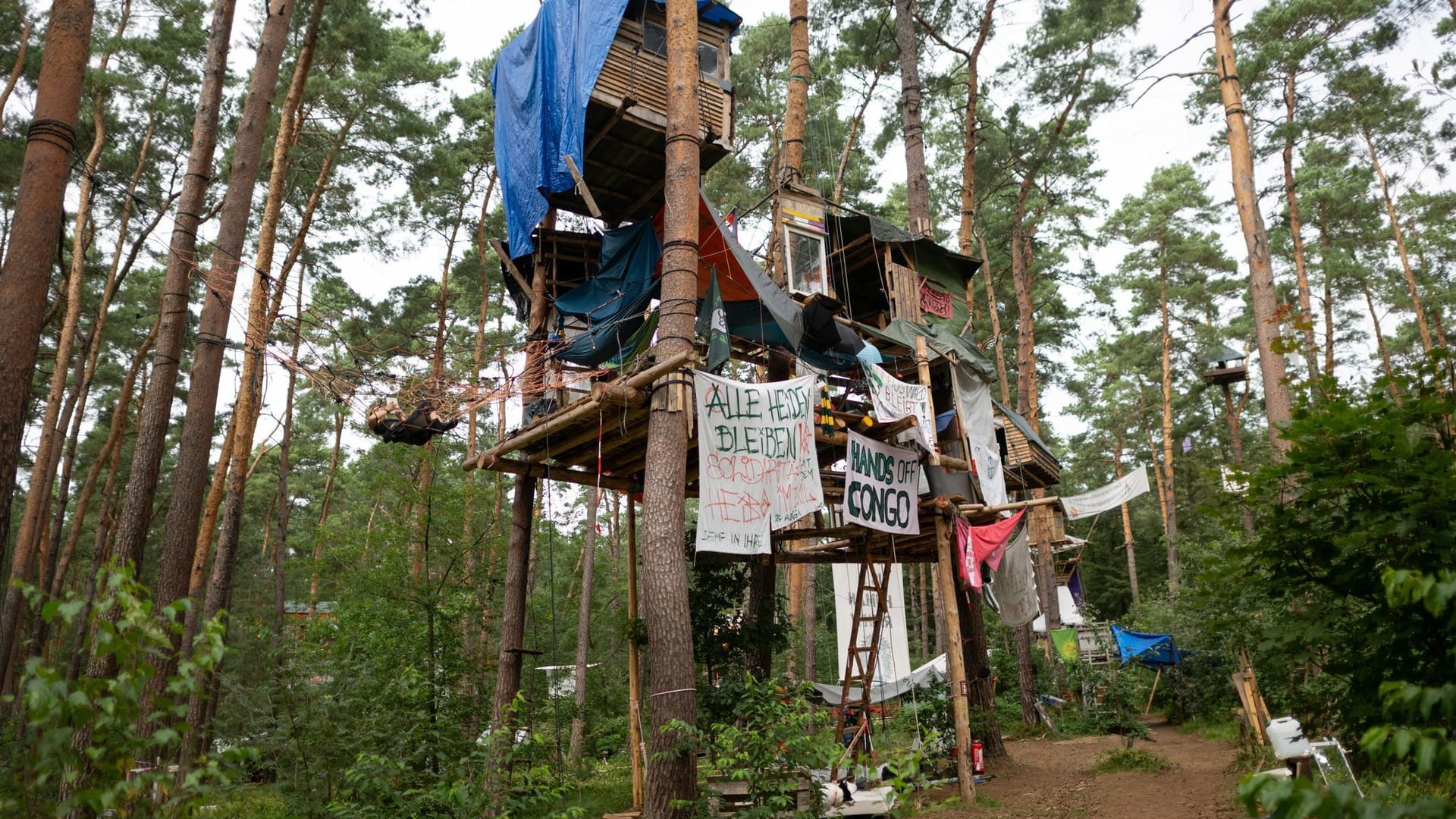 Anti-Tesla-Protestcamp in Grünheide