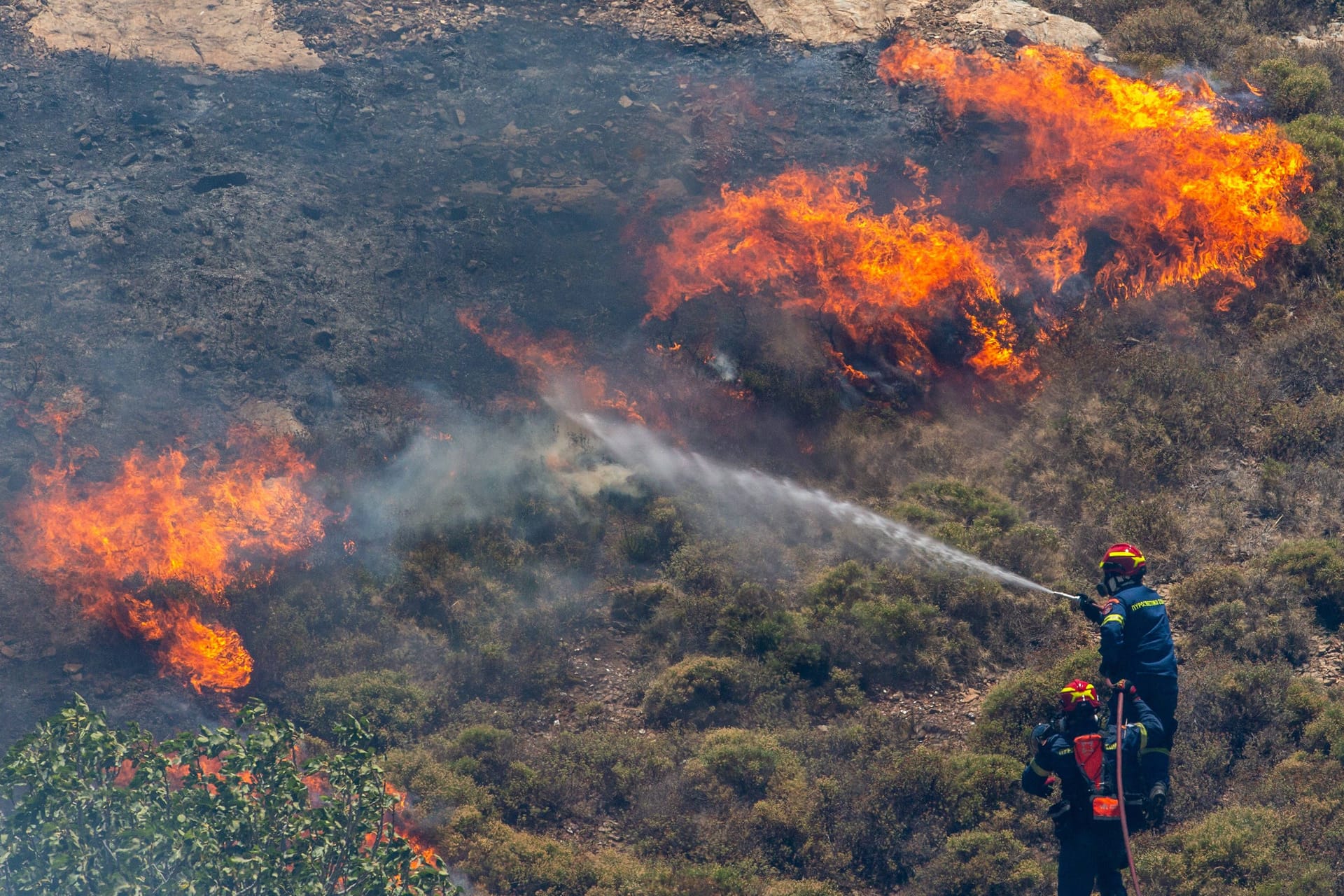 Feuer bei Athen: In Griechenland wüten in einigen Regionen Waldbrände.