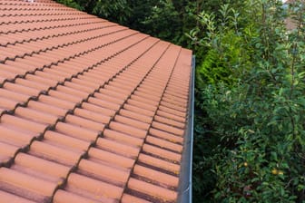 imago images 0718629951