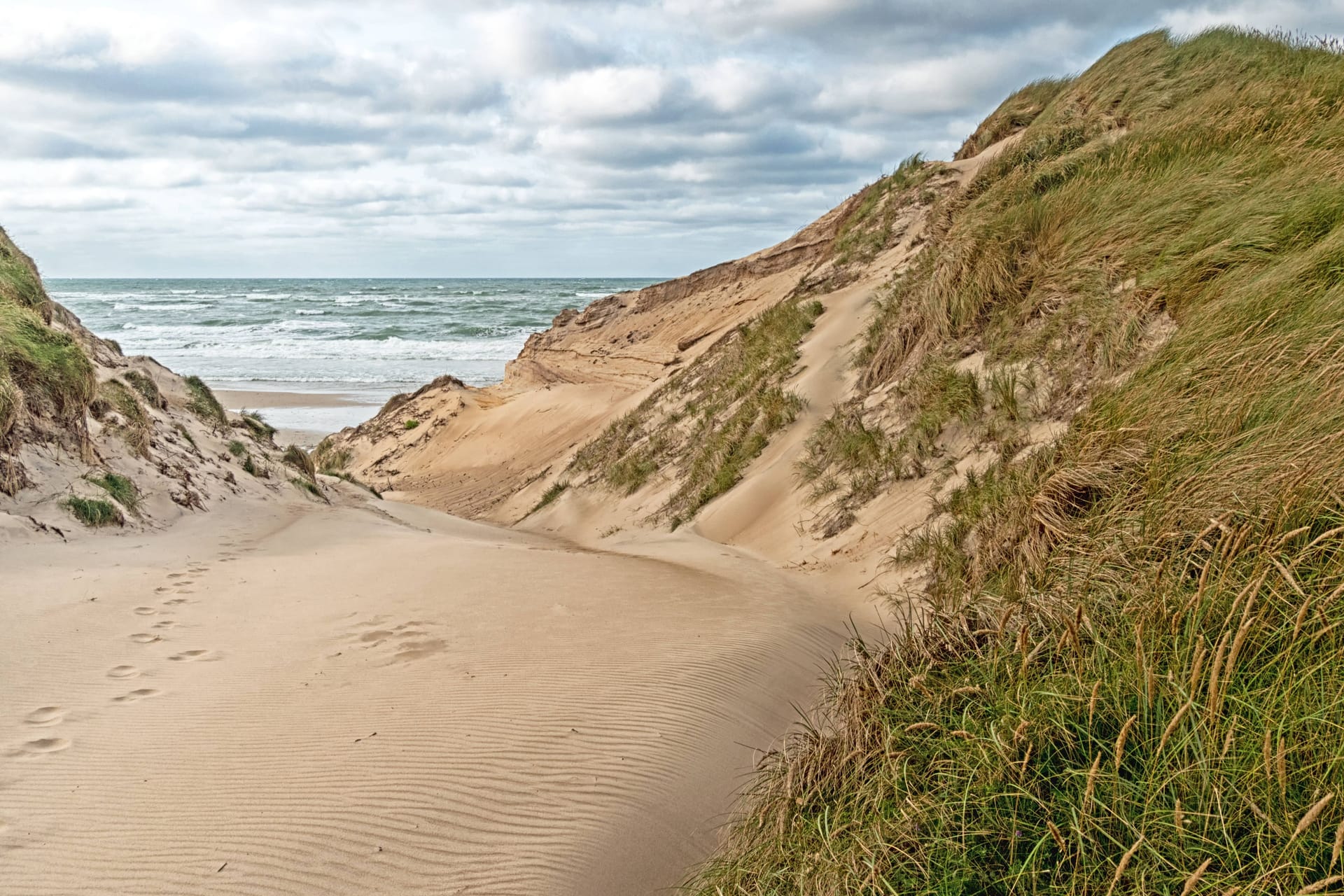 Strandzugang in den Dünen an der dänischen Nordseeküste in Jütland bei Nørre Vorupør (Archivbild): Hier in der Region ereignete sich das Unglück.