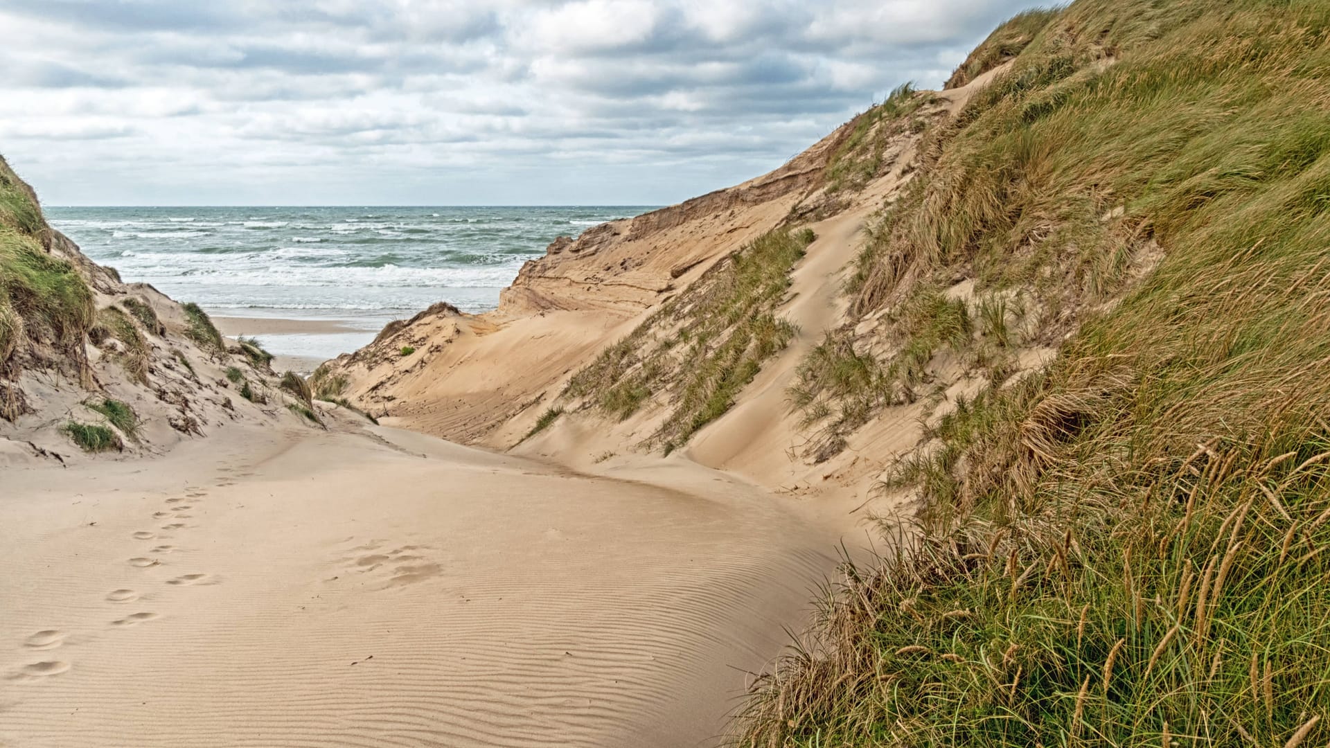 Strandzugang in den Dünen an der dänischen Nordseeküste in Jütland bei Nørre Vorupør (Archivbild): Hier in der Region ereignete sich das Unglück.