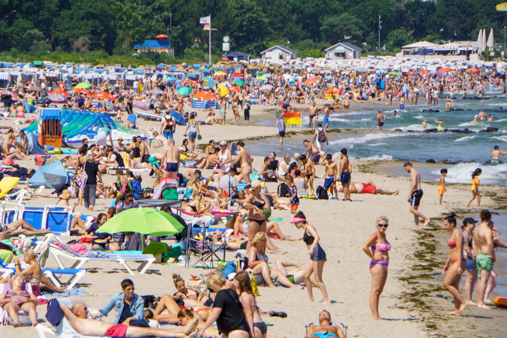 Strand an der Lübecker Bucht (Archivbild): An der Nord- und Ostsee vermehren sich ab 20 Grad Wassertemperatur Vibrionen. Sie können Wunden und den Magendarmtrakt infizieren.