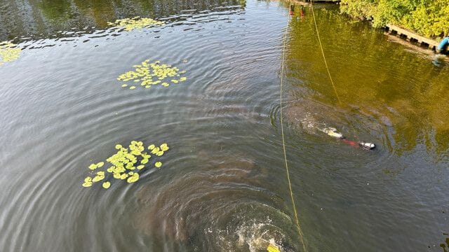 Taucher im Großen Wannsee: Hier suchten Einsatzkräfte der Feuerwehr nach einer vermissten Person.