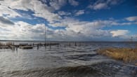 Chaos am Steinhuder Meer: Unwetter lässt Boote bei Veranstaltung kentern