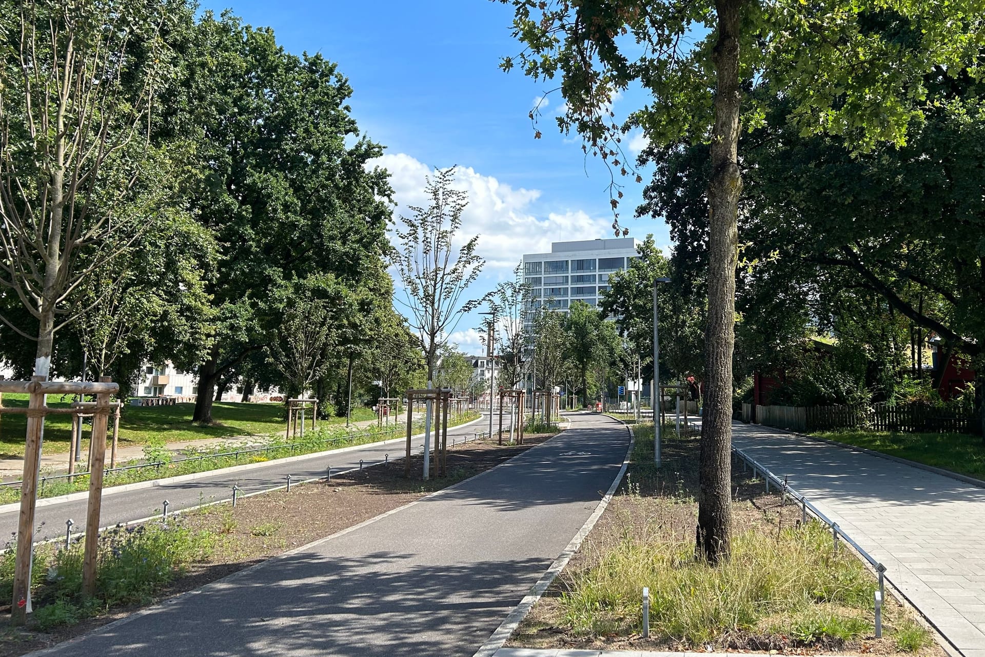 Die umgebaute Louise-Schroeder-Straße: Statt einer dreispurigen Einbahnstraße gibt es nun Bäume und Wege für alle Verkehrsteilnehmer.