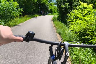 Fahrradfahrer (Symbolbild): Der Mann war auf einem Hollandrad unterwegs.