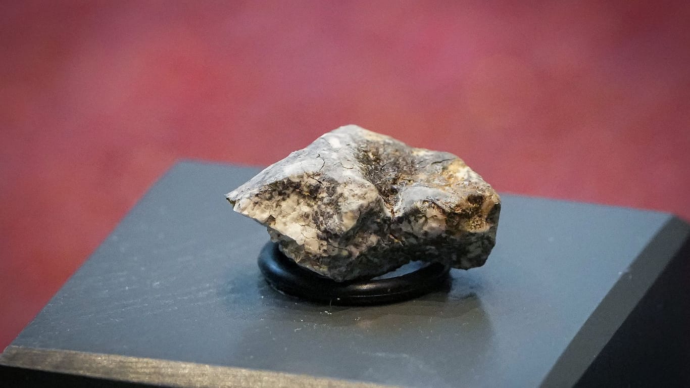 Ribbecker Meteoriten-Bruchstücke im Naturkundemuseum