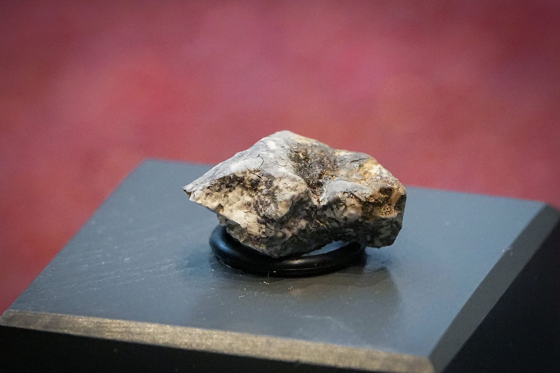 Ribbecker Meteoriten-Bruchstücke im Naturkundemuseum