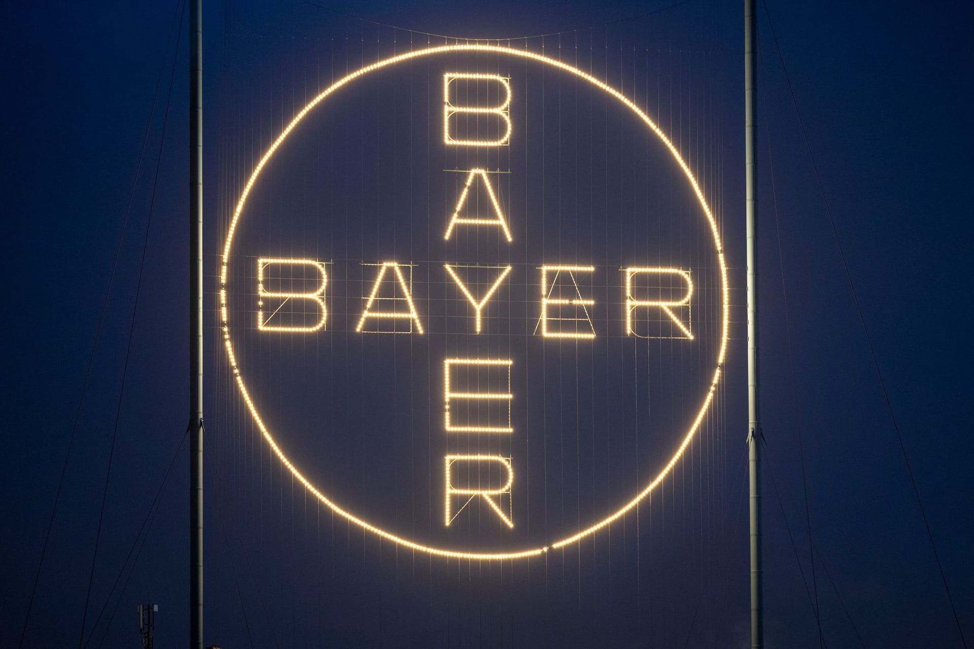 Bayer Bayer