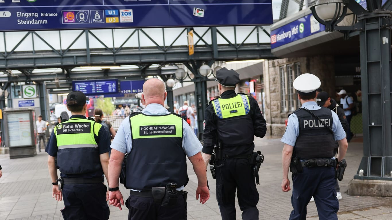 Der Hauptbahnhof in Hamburg: Immer wieder kommt es an Bahnhöfen auch zu Angriffen auf Bundespolizisten.