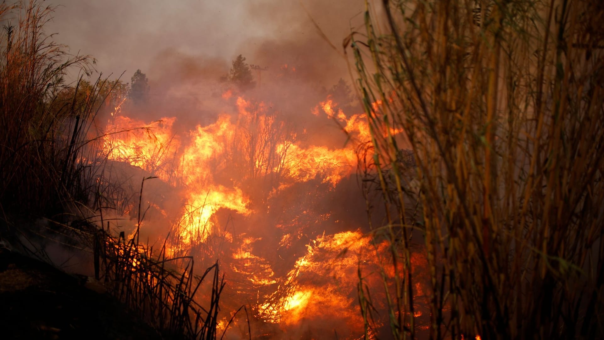 Großbrand nahe Athen