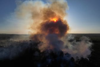 Waldbrände in Brasilien