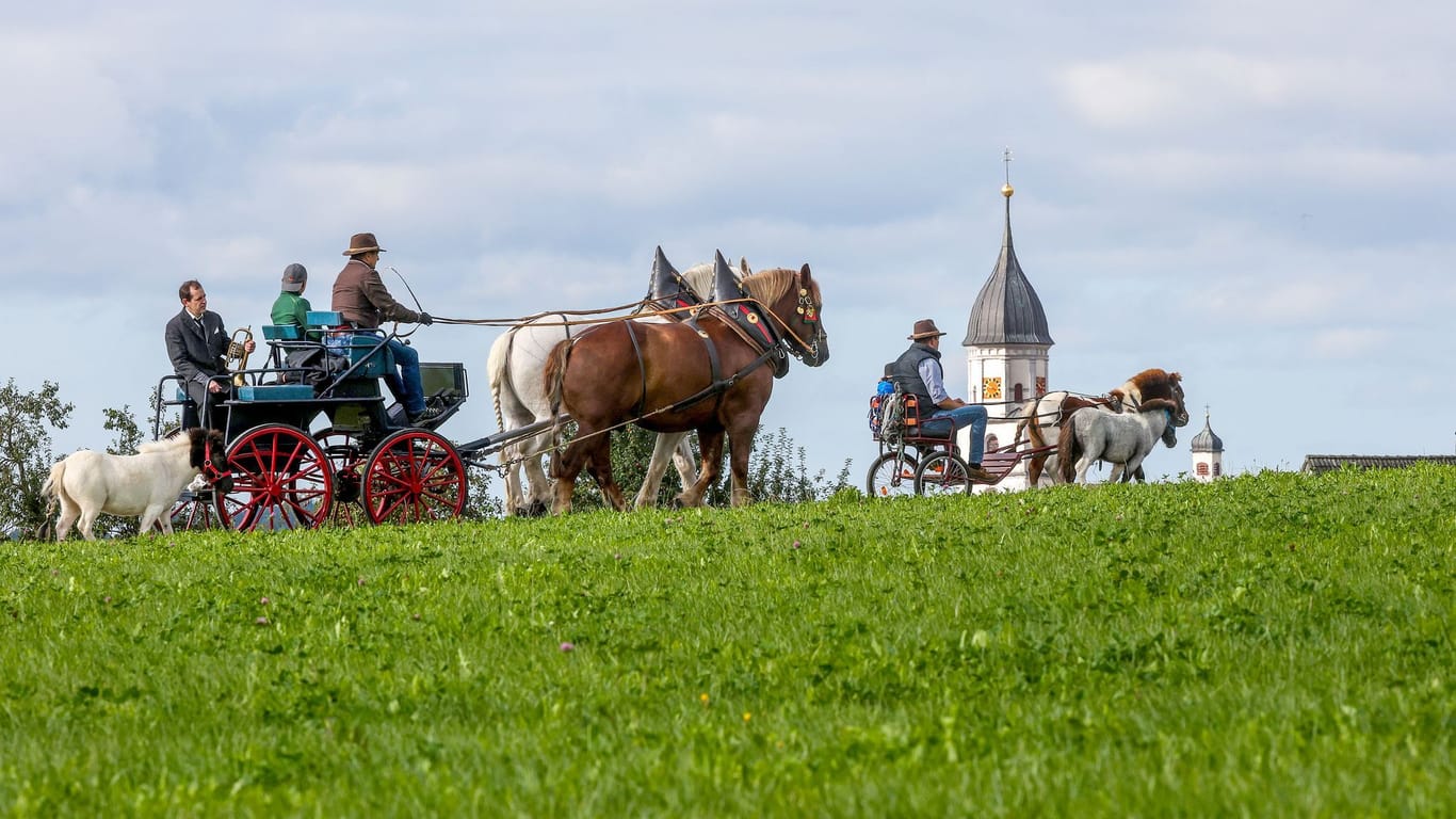 Kutschfahrt - Wetter im Südwesten