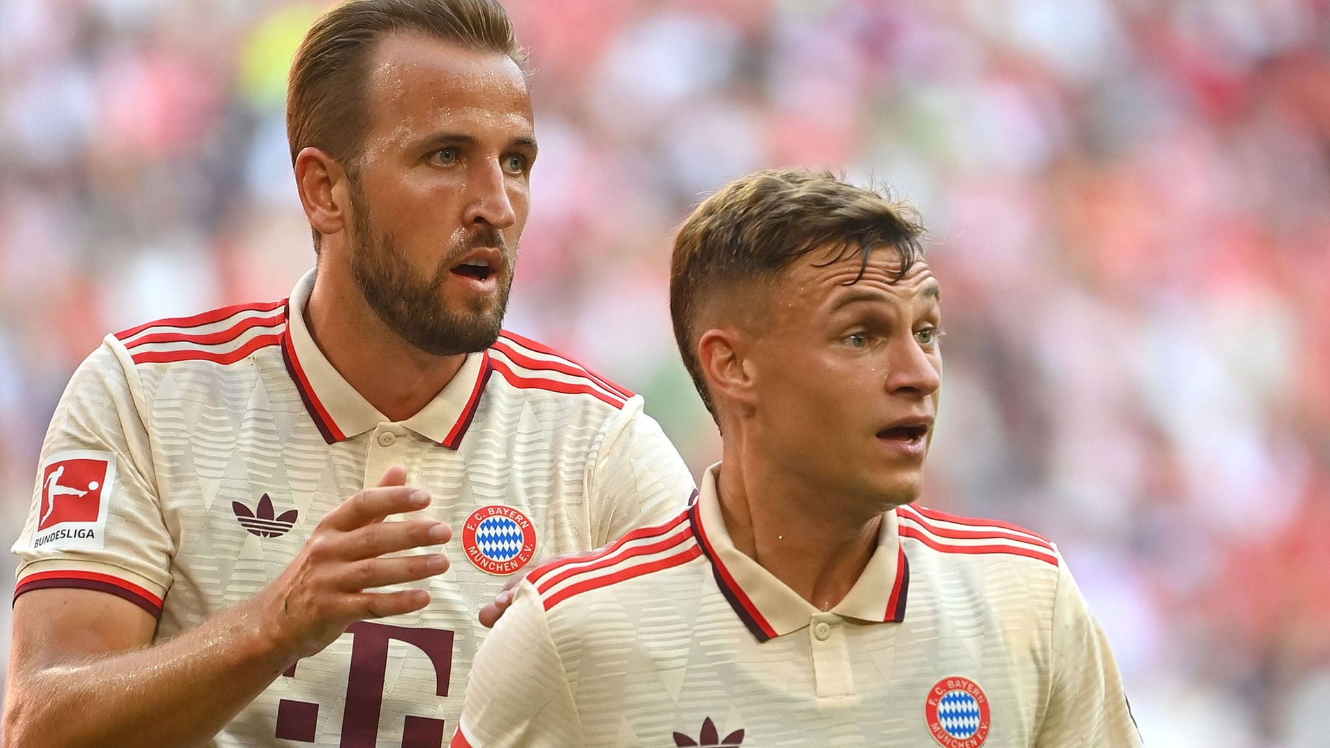 Harry Kane (l.) und Joshua Kimmich: Um den FC Bayern in der Champions League live zu sehen, müssen Fans viel Geld bezahlen.