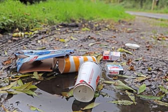 Pappverpackungen, Getränkebecher und leere Zigarettenschachteln liegen achtlos weggeworfen in der Natur (Symbolfoto): Für das Problem sucht der Bremer Senat eine Lösung.