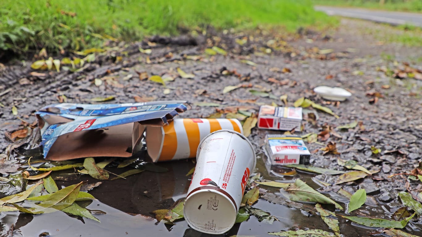 Pappverpackungen, Getränkebecher und leere Zigarettenschachteln liegen achtlos weggeworfen in der Natur (Symbolfoto): Für das Problem sucht der Bremer Senat eine Lösung.