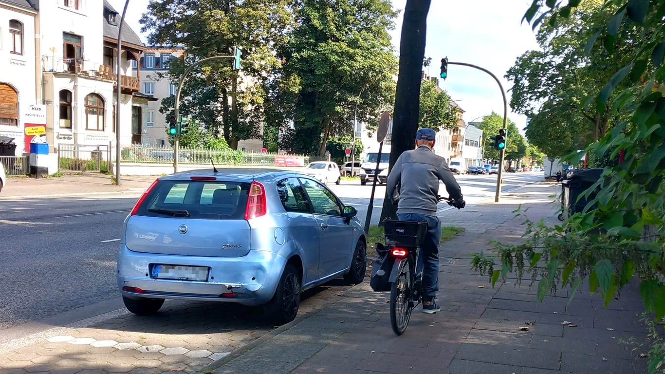 Die Buxtehuder Straße in Harburg: Hier droht Radfahrern Gefahr durch Dooring.