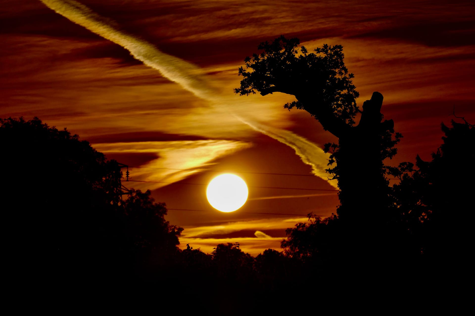 Sonne (Archivbild): Das Wetter der nächsten Tage soll schön werden.