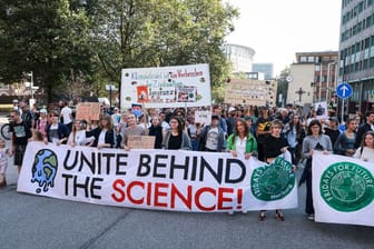 Aufruf zum Klimastreik von Fridays for Future - Hamburg