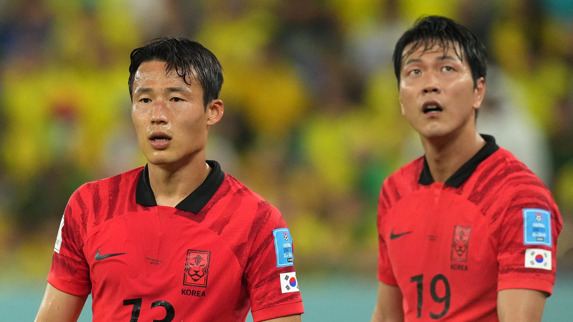 Jun-ho Son (l.) und Kim Young-gwon: Bei der WM 2022 standen sie noch gemeinsam für die südkoreanische Nationalmannschaft auf dem Platz.