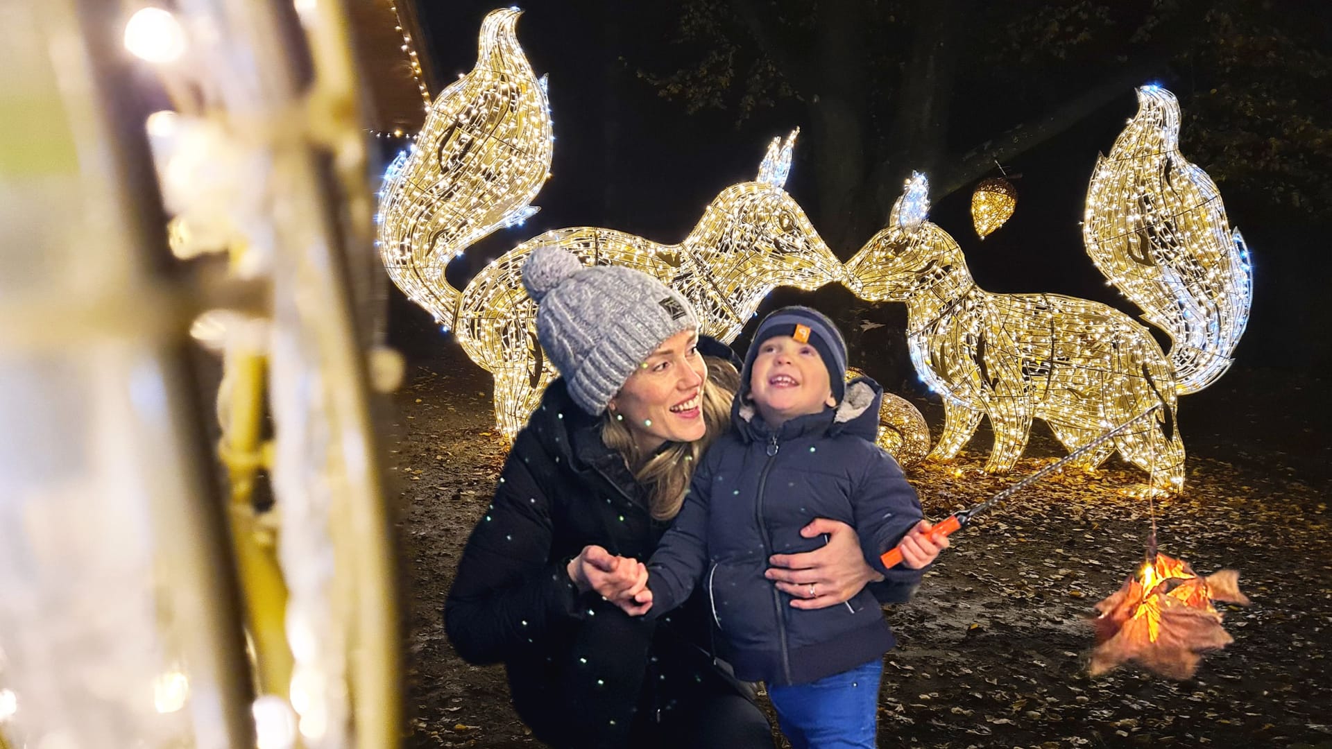 Der Wildpark Schwarze Berge verwandelt sich in ein funkelndes Wintermärchen.