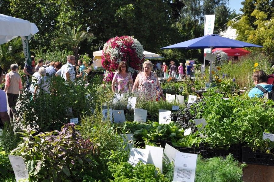 Der Pflanzenraritätenmarkt im Essener Grugapark (Archivbild): Das Event findet dreimal im Jahr statt.