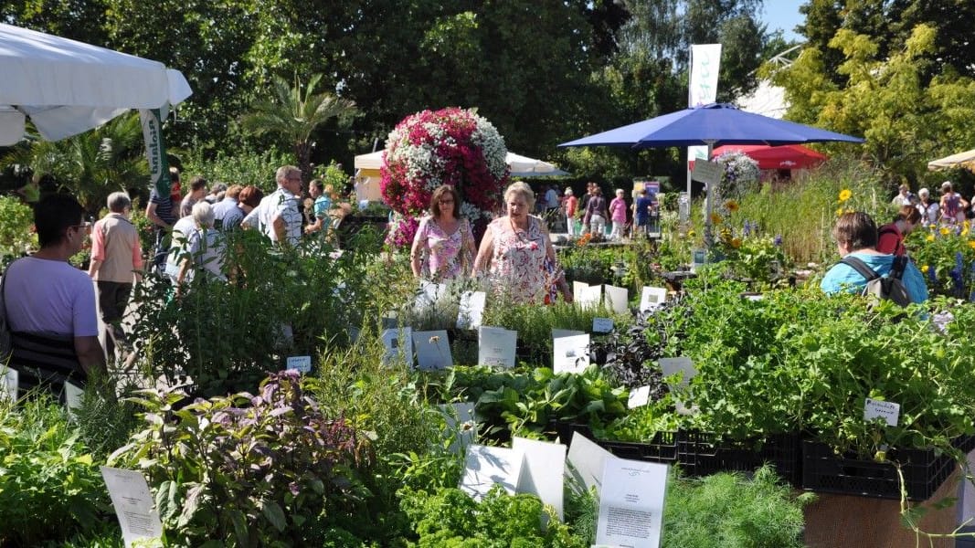 Der Pflanzenraritätenmarkt im Essener Grugapark (Archivbild): Das Event findet dreimal im Jahr statt.