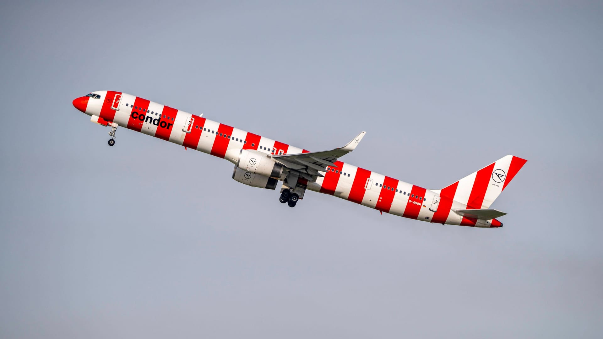 Condor Boeing 757-300: Das schlanke Flugzeug trägt auch den Spitznamen "fliegender Bleistift".