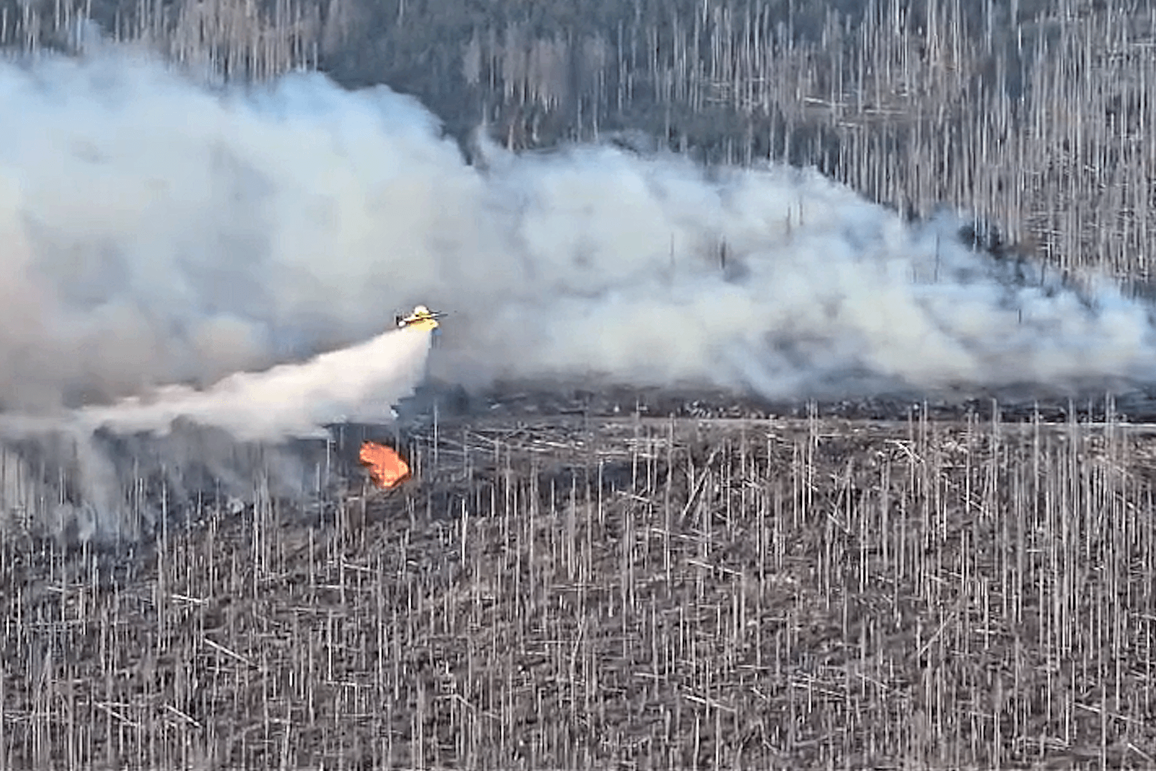 Brand am Brocken: Mehrere Löschflugzeuge fliegen über den Harz.