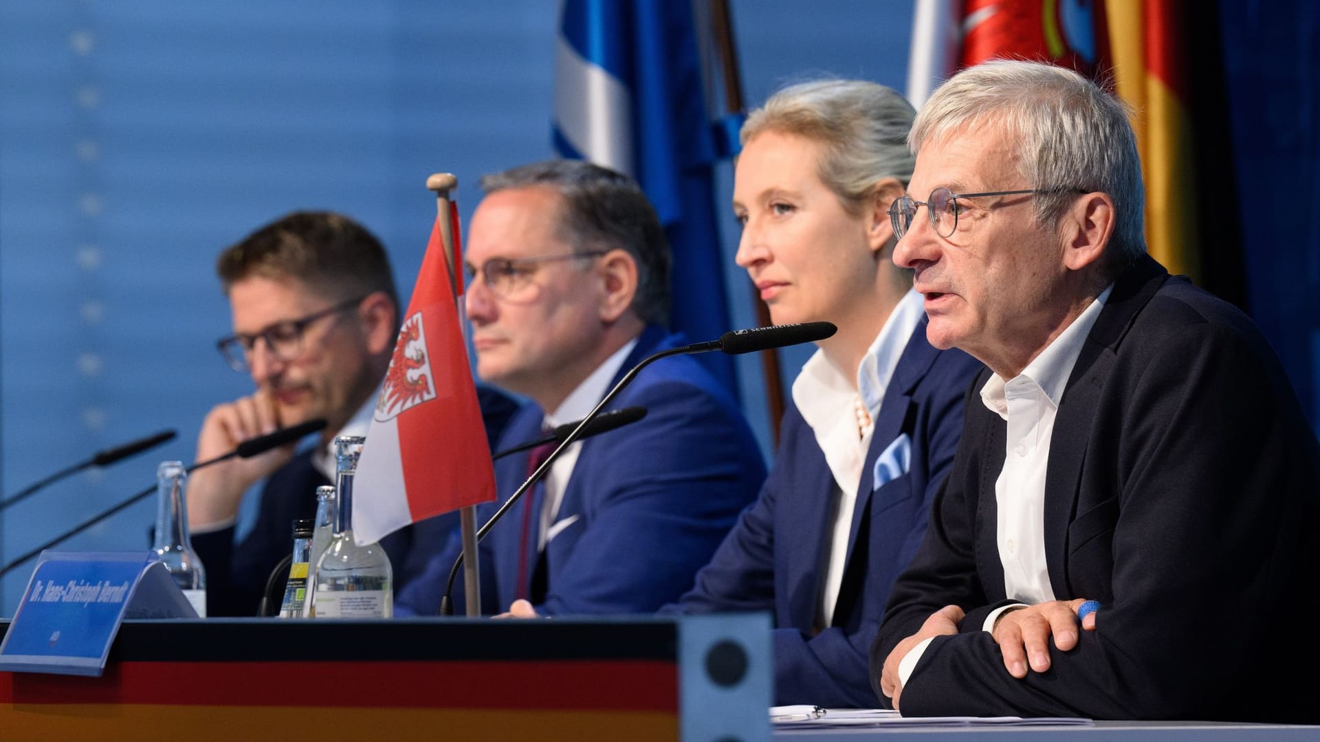 Nach der Landtagswahl in Brandenburg - AfD