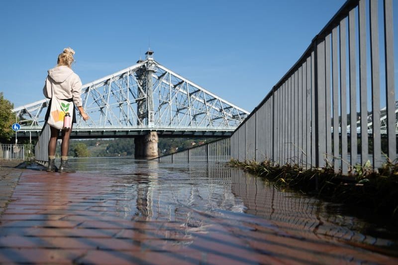 Eine Passantin steht am Ufer der Hochwasser führenden Elbe vor der Elbbrücke Blaues Wunder. Das durch Dauerregen und Starkniederschläge verursachte Hochwasser in sächsischen Flüssen ist auf dem Rückzug.