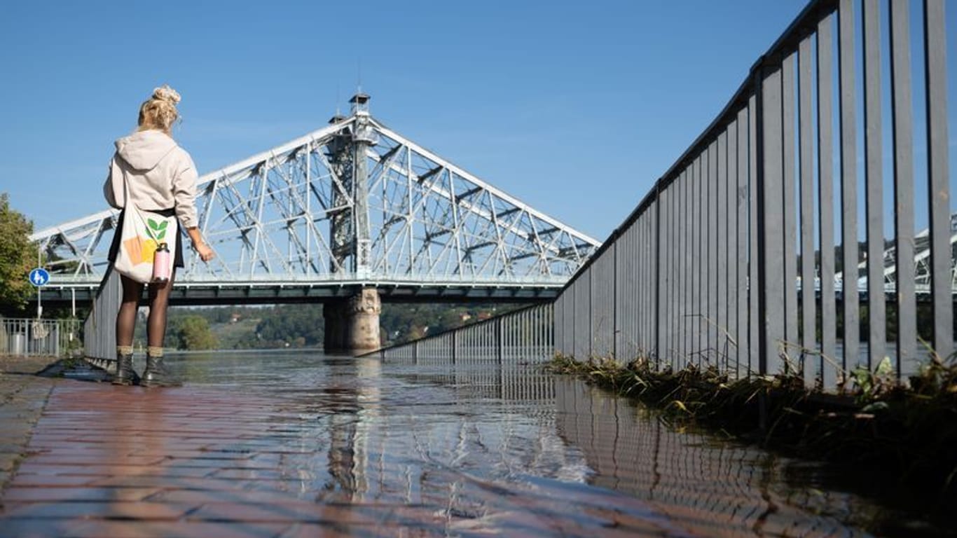 Eine Passantin steht am Ufer der Hochwasser führenden Elbe vor der Elbbrücke Blaues Wunder. Das durch Dauerregen und Starkniederschläge verursachte Hochwasser in sächsischen Flüssen ist auf dem Rückzug.