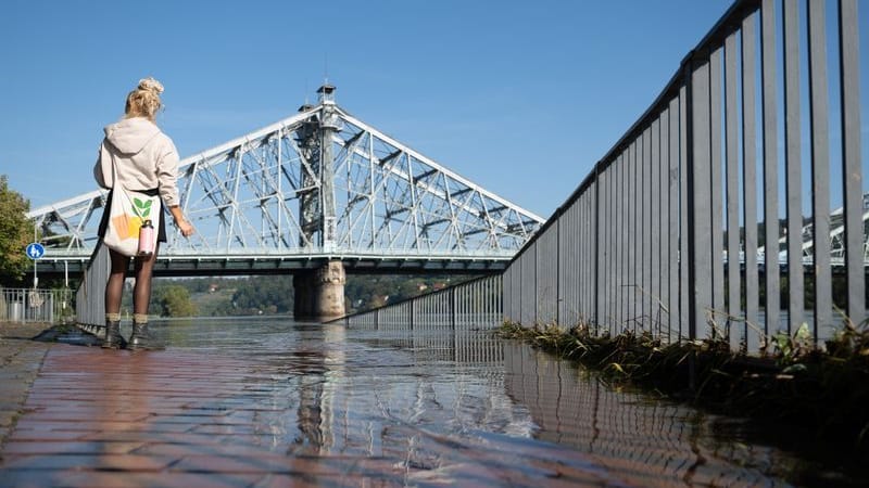 Eine Passantin steht am Ufer der Hochwasser führenden Elbe vor der Elbbrücke Blaues Wunder. Das durch Dauerregen und Starkniederschläge verursachte Hochwasser in sächsischen Flüssen ist auf dem Rückzug.