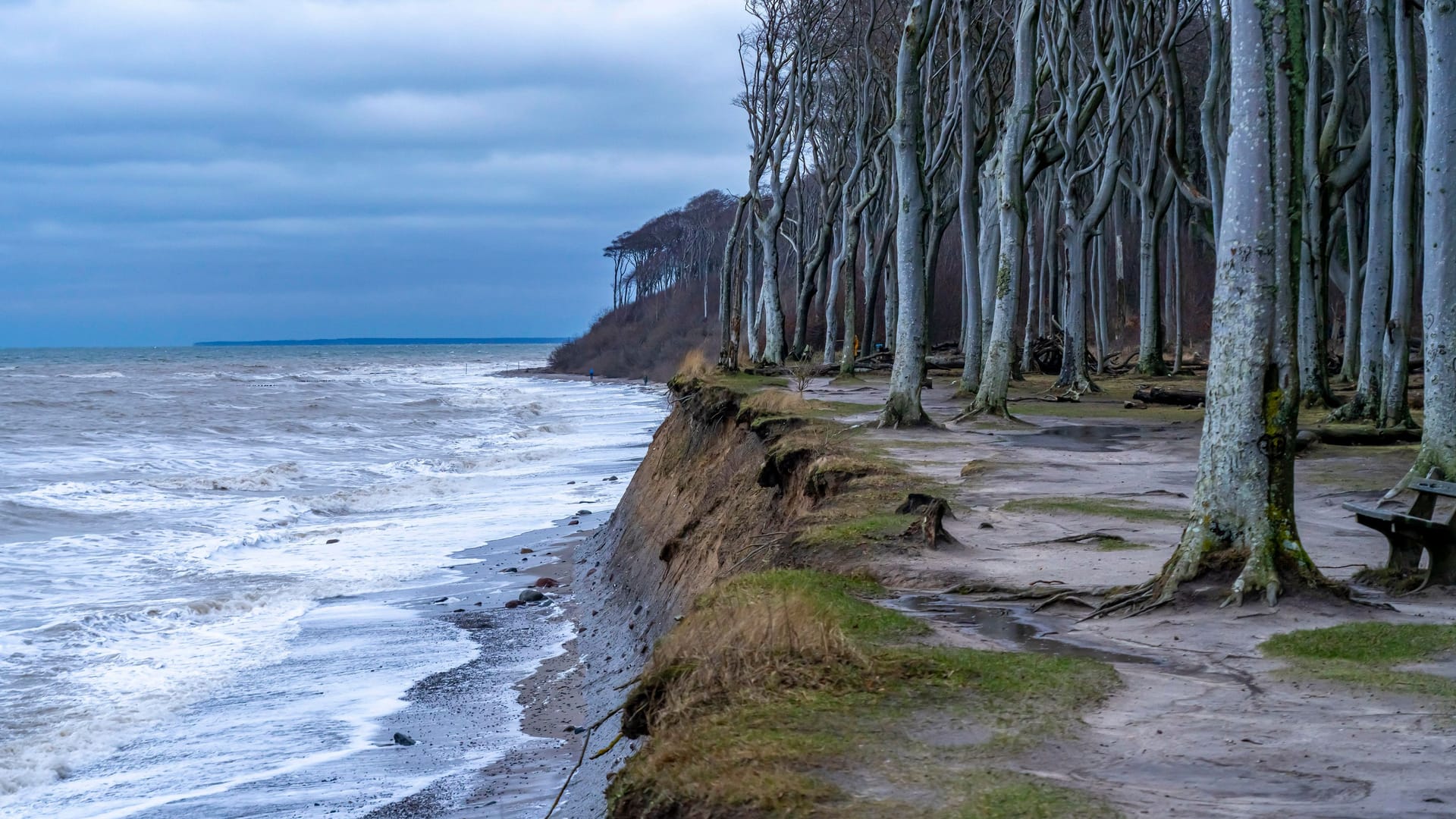 Der Gespensterwald befindet sich direkt an der Stielküste in Nienhagen. Der Gespensterwald befindet sich direkt an der Stielküste in Nienhagen.
